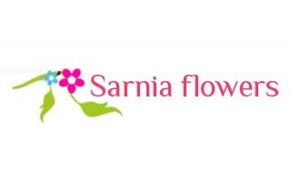 Sarnia Flowers - Sarnia, ON N7T 5V1 - (226)778-4307 | ShowMeLocal.com
